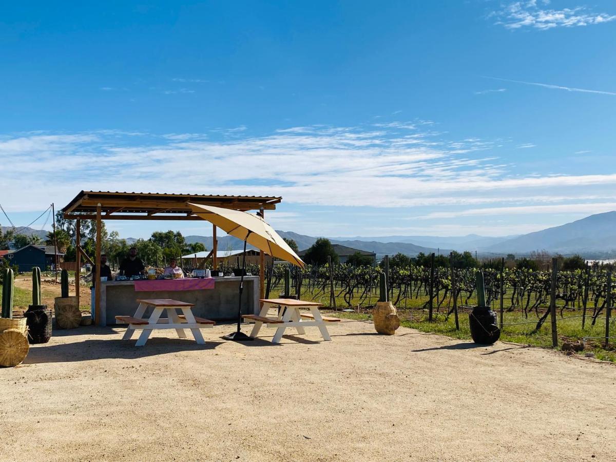 Hotel The Pangea Valle de Guadalupe Extérieur photo