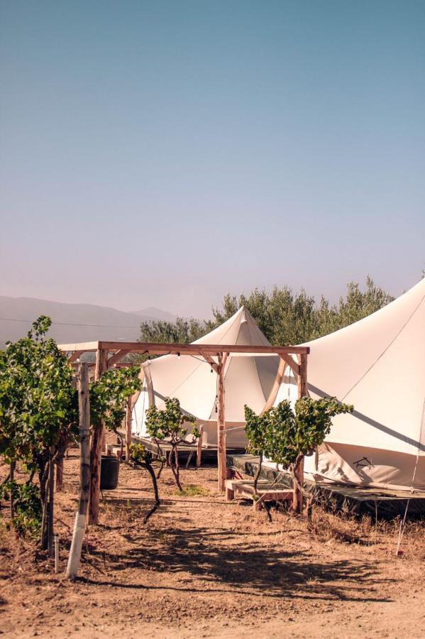 Hotel The Pangea Valle de Guadalupe Extérieur photo